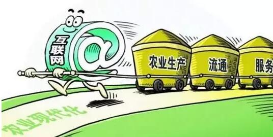 农村电商